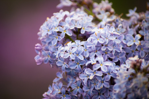 864600 (a): :2048x1365